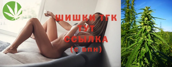 МДМА Горняк