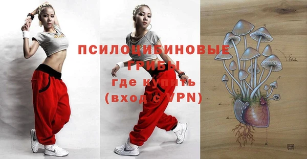 МДМА Горняк