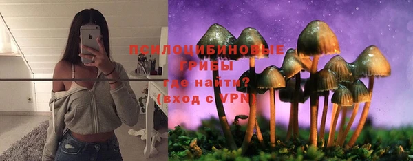 МДМА Горняк