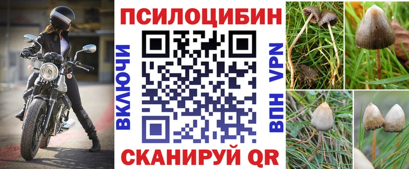 Псилоцибиновые грибы GOLDEN TEACHER  продажа наркотиков  Невинномысск 
